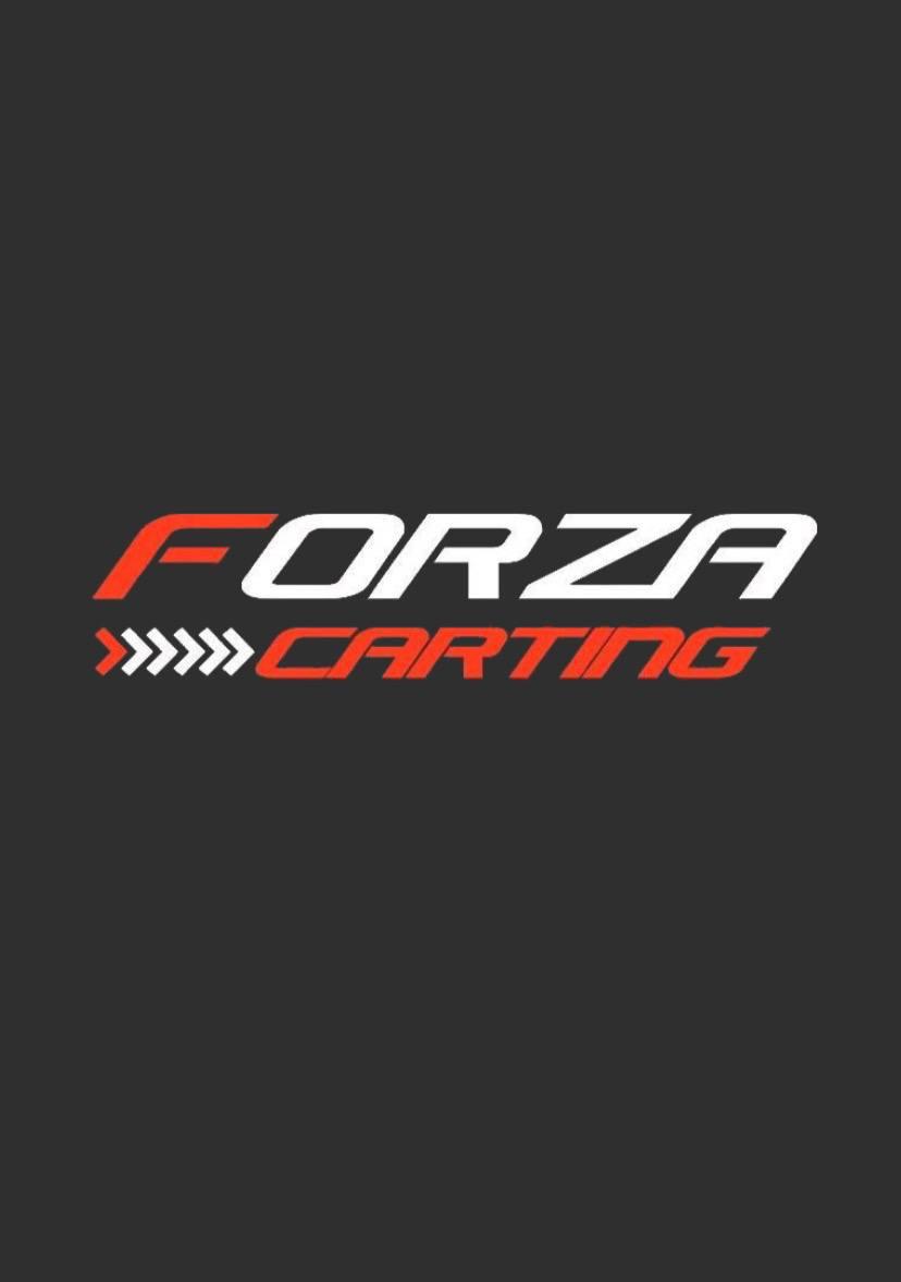 Электро-картинг FORZA Carting
